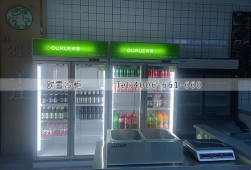 冷柜價(jià)格-北京哪里有賣餐飲店用的冷柜？